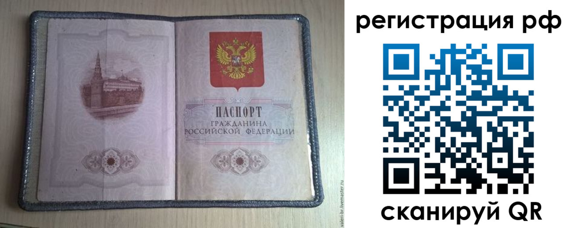 прописка поиск в Зеленогорске
